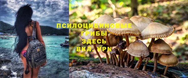 MESCALINE Покров