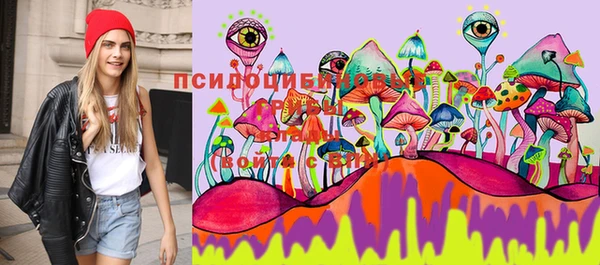 гашишное масло Покачи