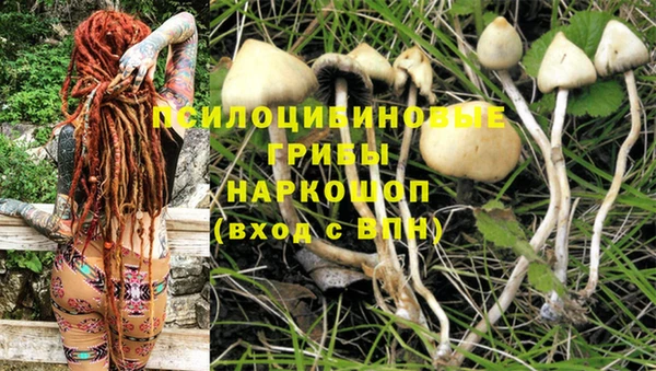 мдпв Покровск