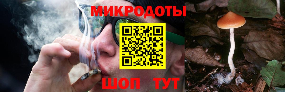 Псилоцибиновые грибы мицелий Кольчугино